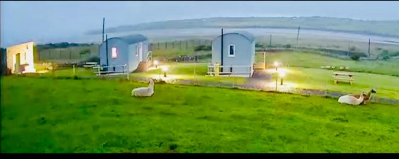 The Snuggly Sheep Shepherd Hut Farm Stay Баллишаннон Экстерьер фото